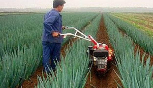 點(diǎn)擊查看詳細(xì)信息<br>標(biāo)題：成功案例 閱讀次數(shù)：3262