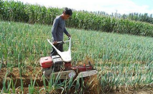 點(diǎn)擊查看詳細(xì)信息<br>標(biāo)題：成功案例 閱讀次數(shù)：3359