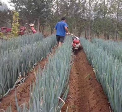 點(diǎn)擊查看詳細(xì)信息<br>標(biāo)題：開溝機(jī)　 閱讀次數(shù)：2382