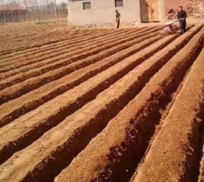 點擊查看詳細信息<br>標題：開溝機　 閱讀次數：2491